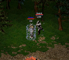 Emperors Plaque Step 1